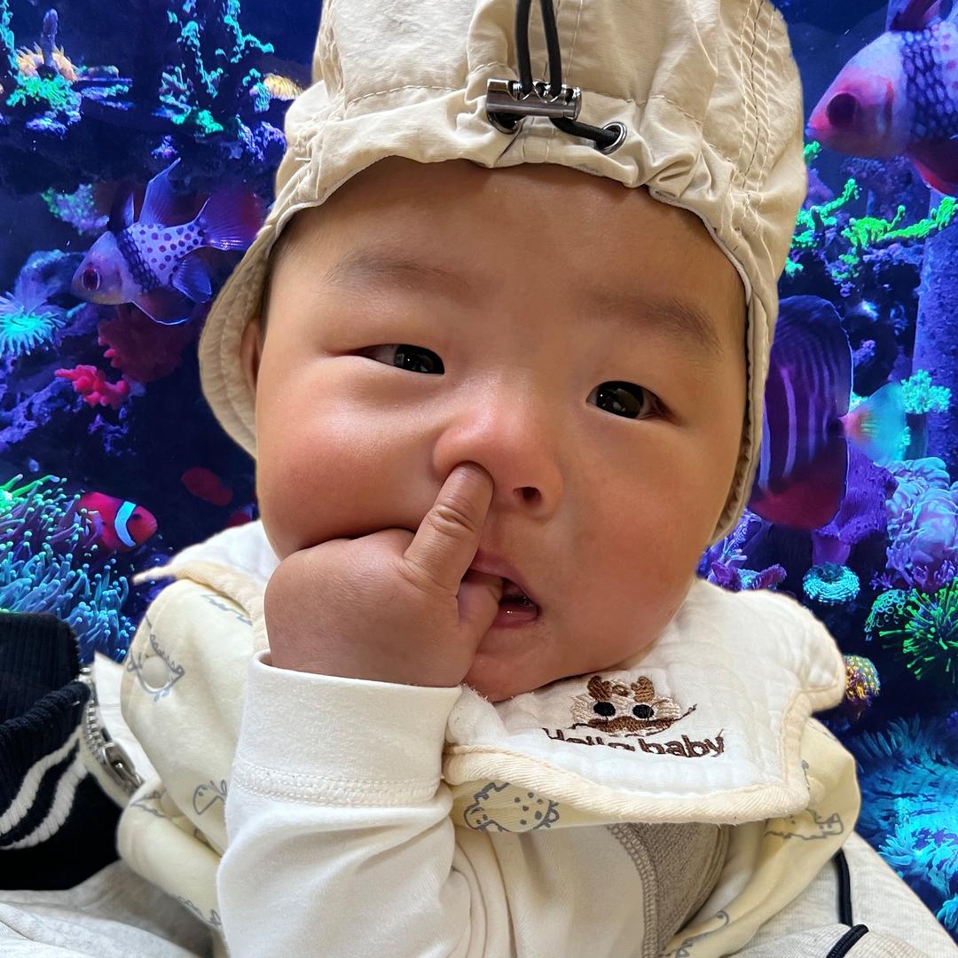 嘟嘟你看，大鱼！