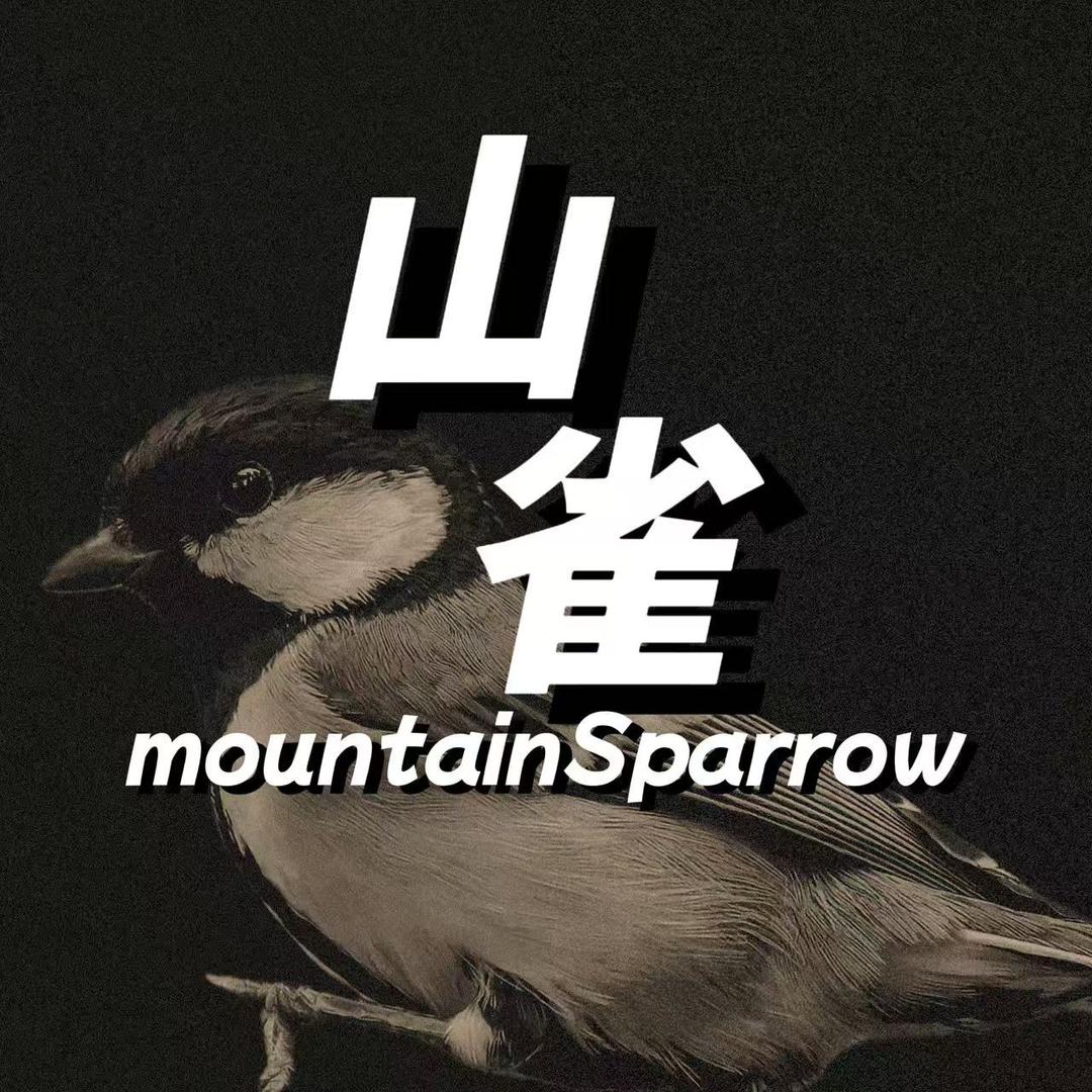 山雀Mountain Sparrow