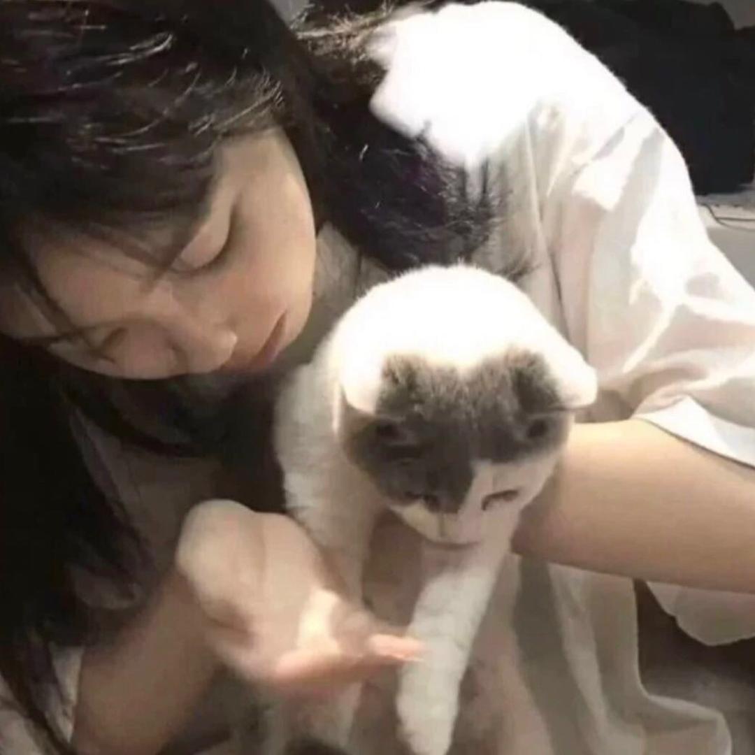 晚安💤