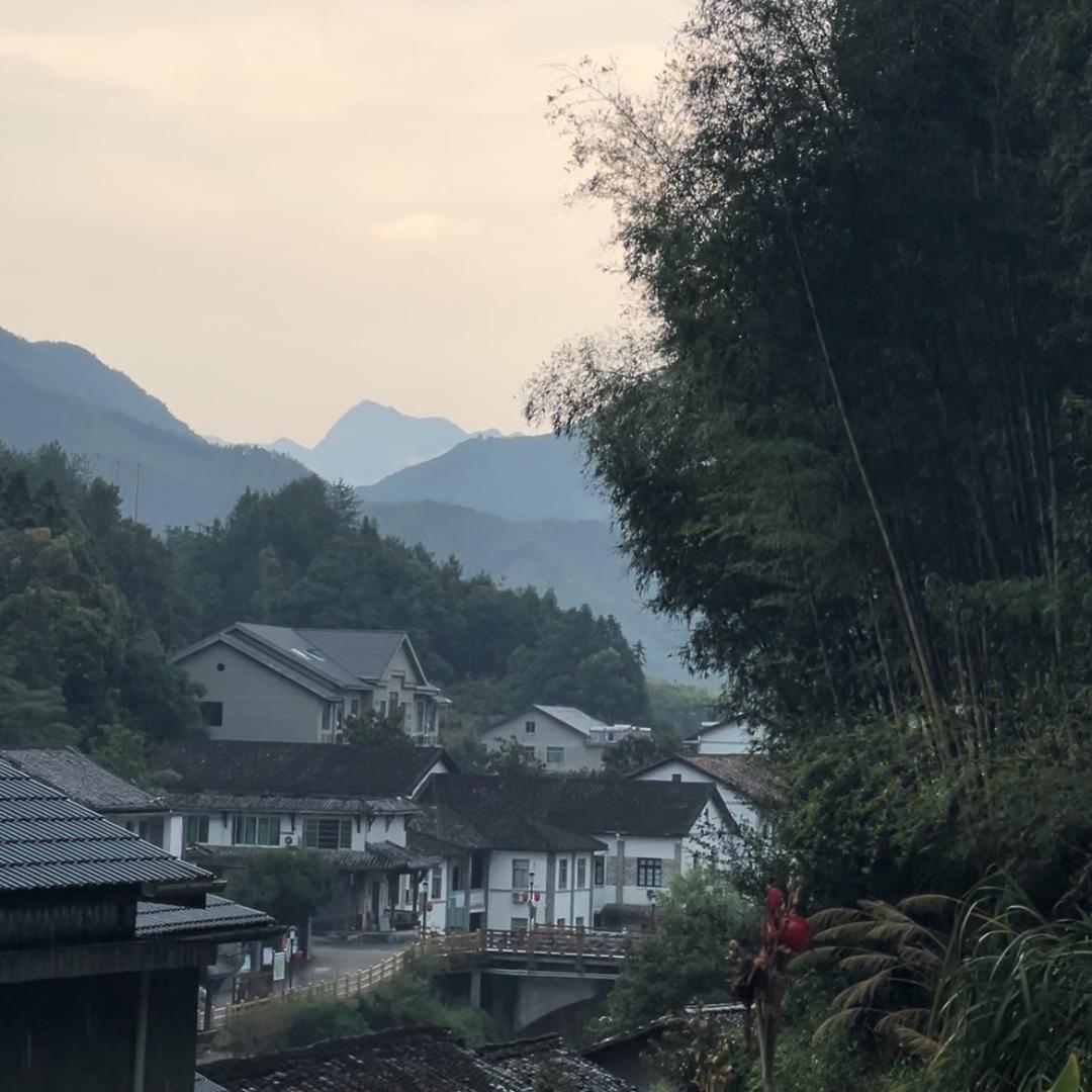 易飞青瓷