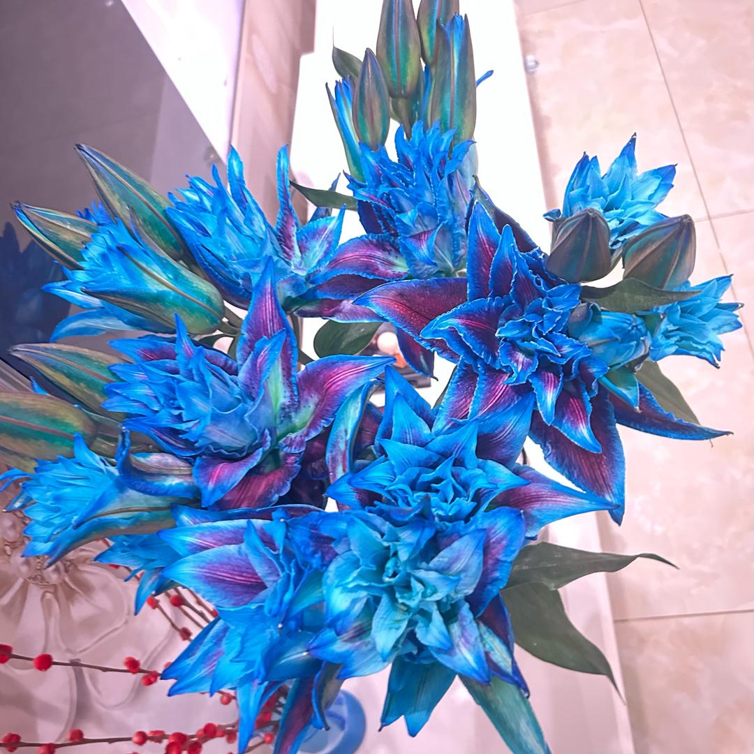 ღ᭄ꦿ醉🌊🌟逍遥ꕥ᭄