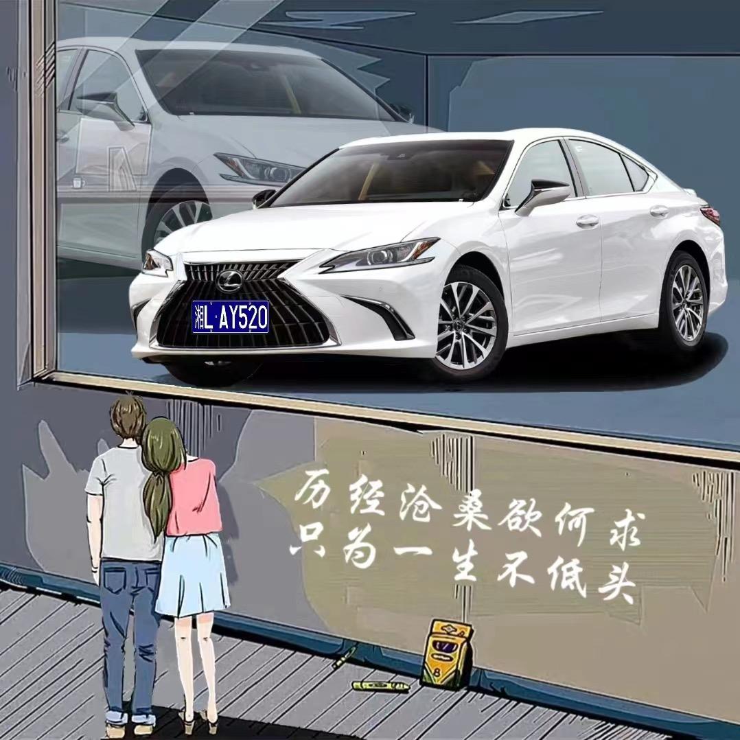卢彦岑