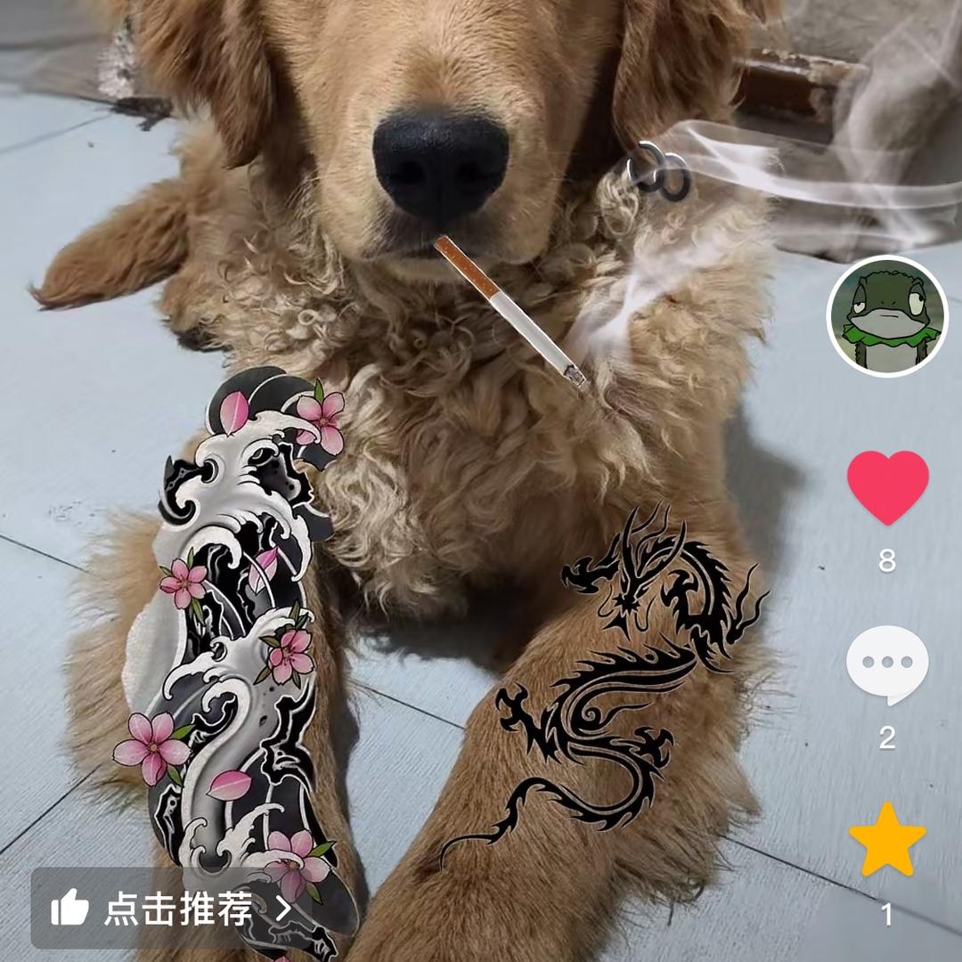 天天开心蔣