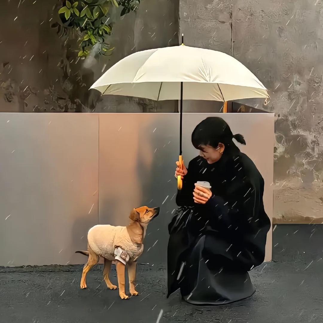 Miao小喵