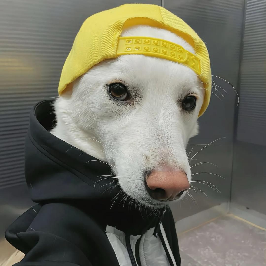 单反.