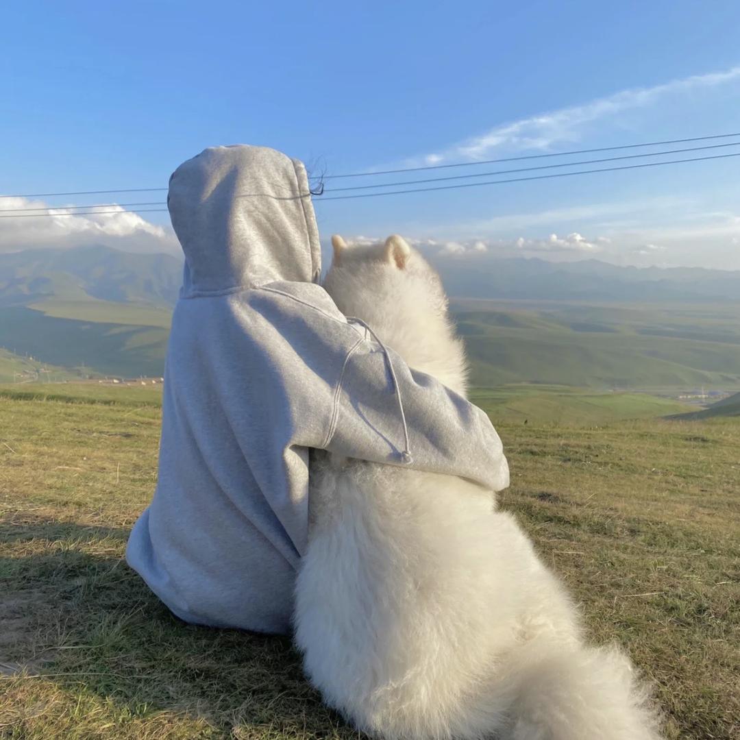 高咸咸