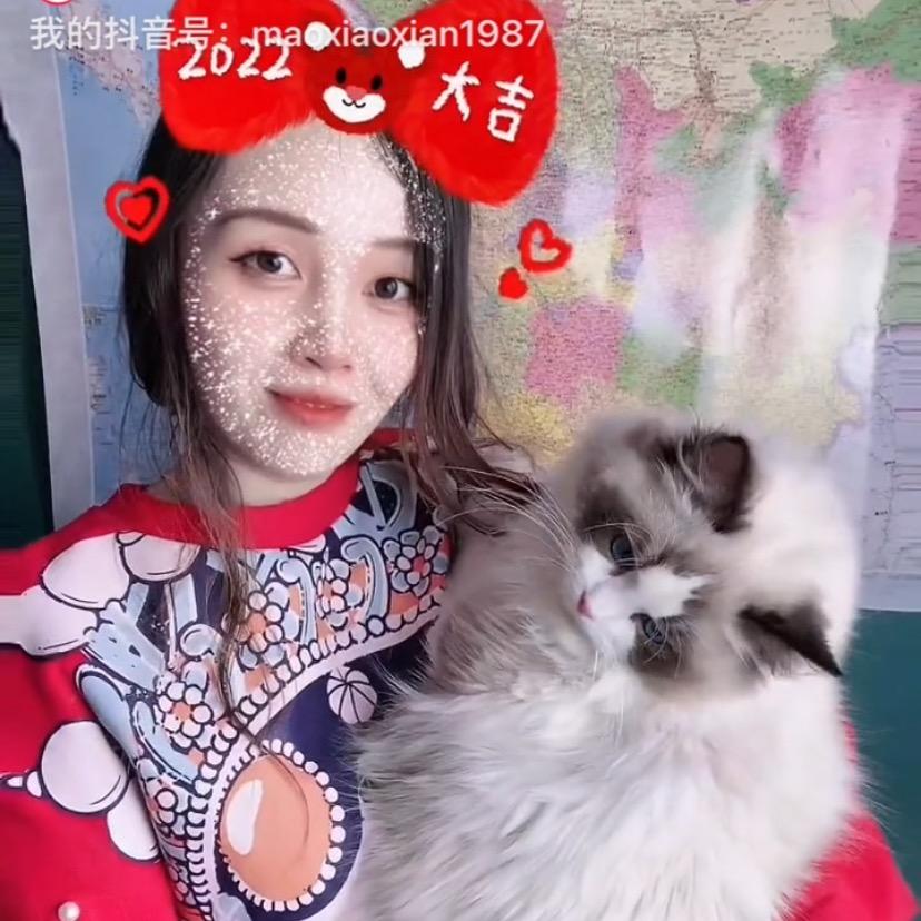 喵小仙的猫