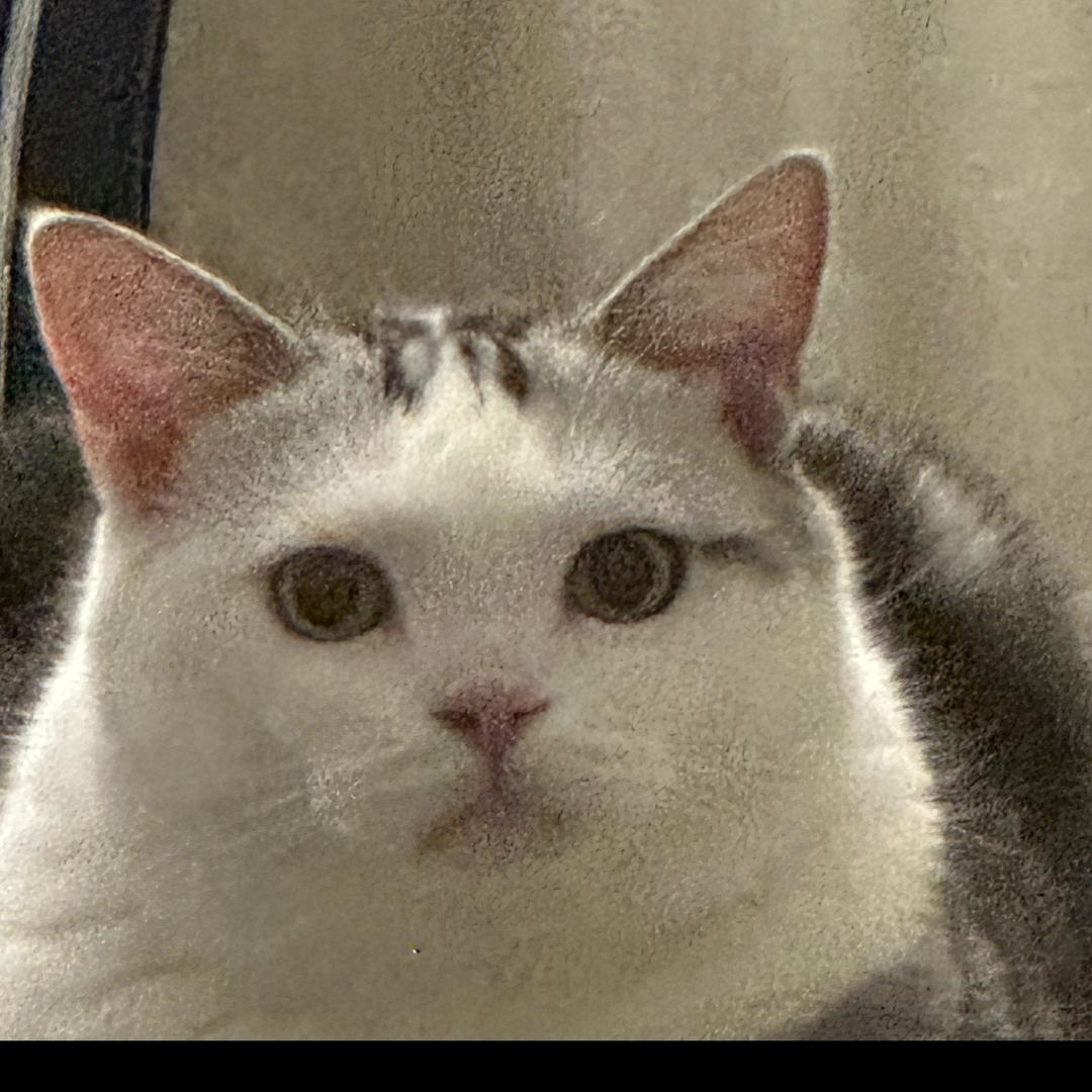 🧐🧐