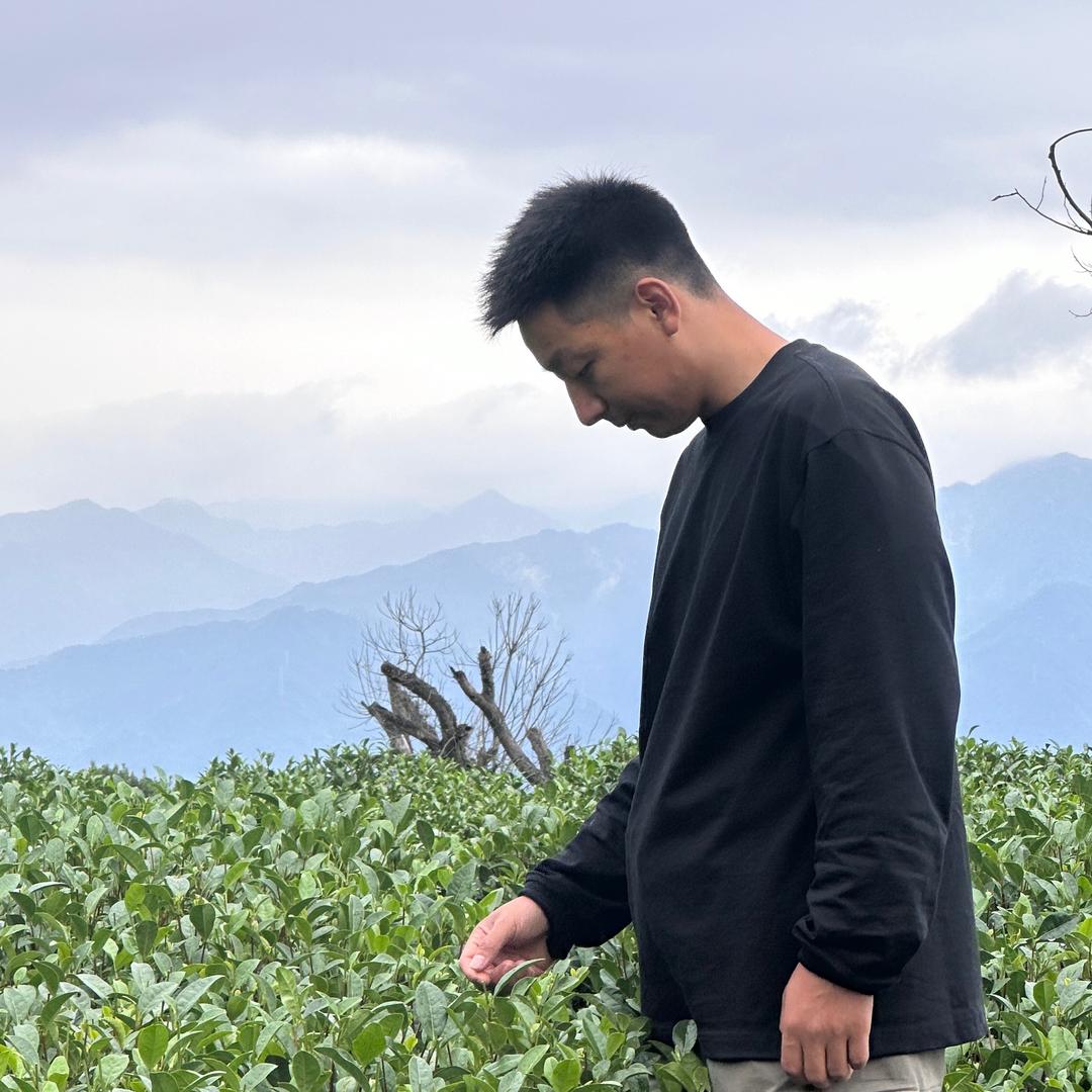 今天你喝茶了吗