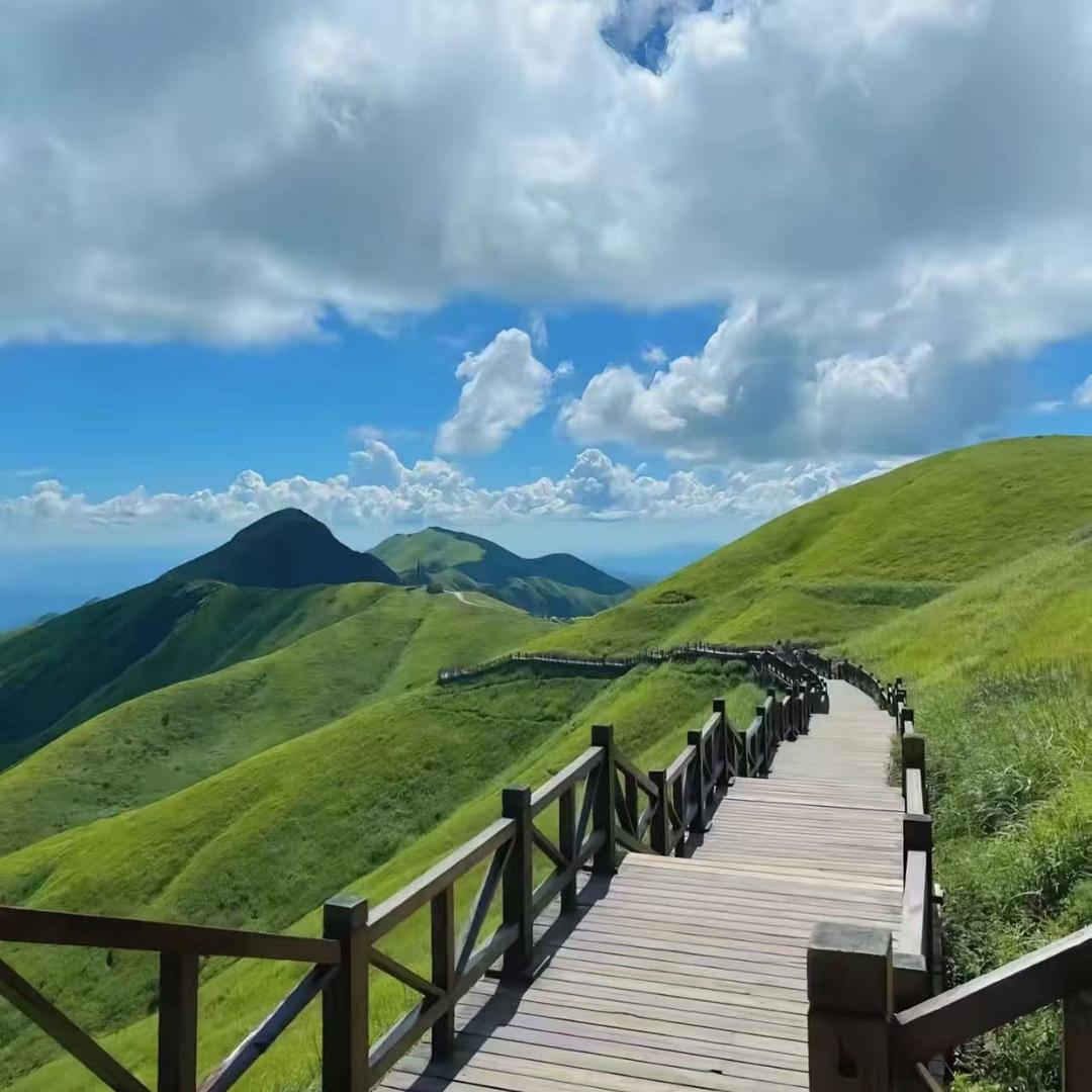 琇嘲