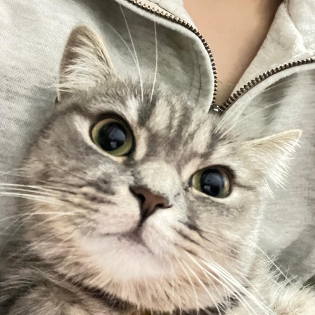 就要捡叶子
