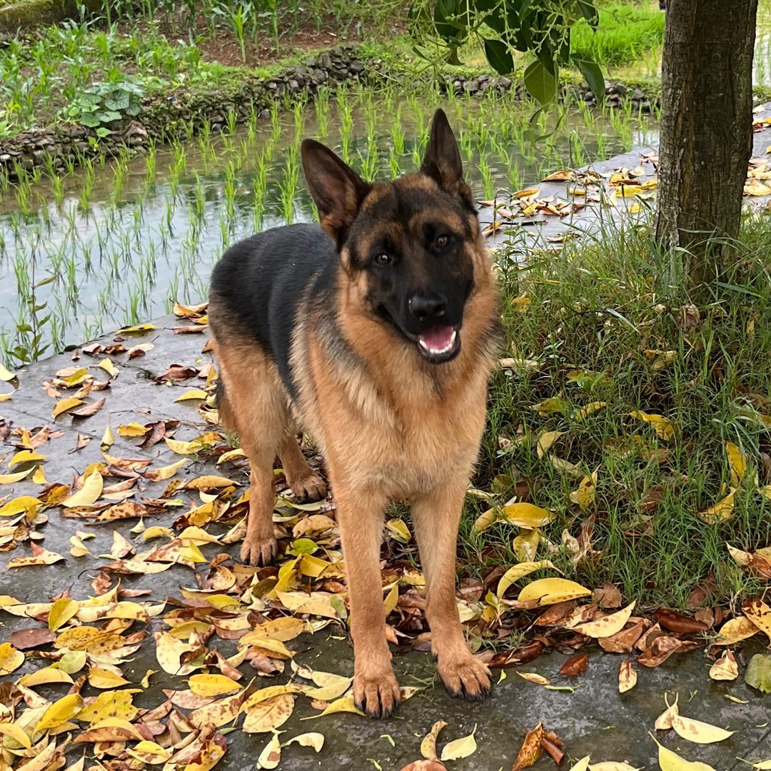 金兴秀早点睡莫熬夜😊