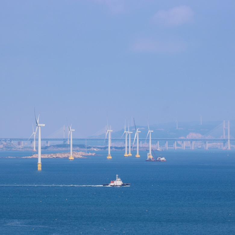 🌈爱吃香香香香香香菜