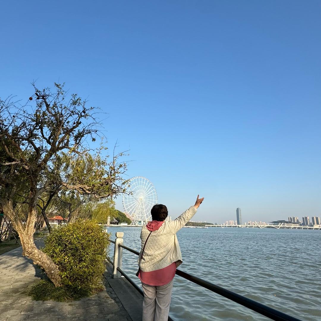 雾里看花