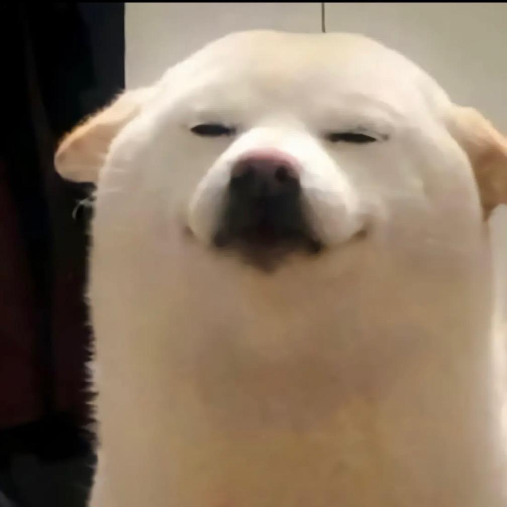 👽👽多乐