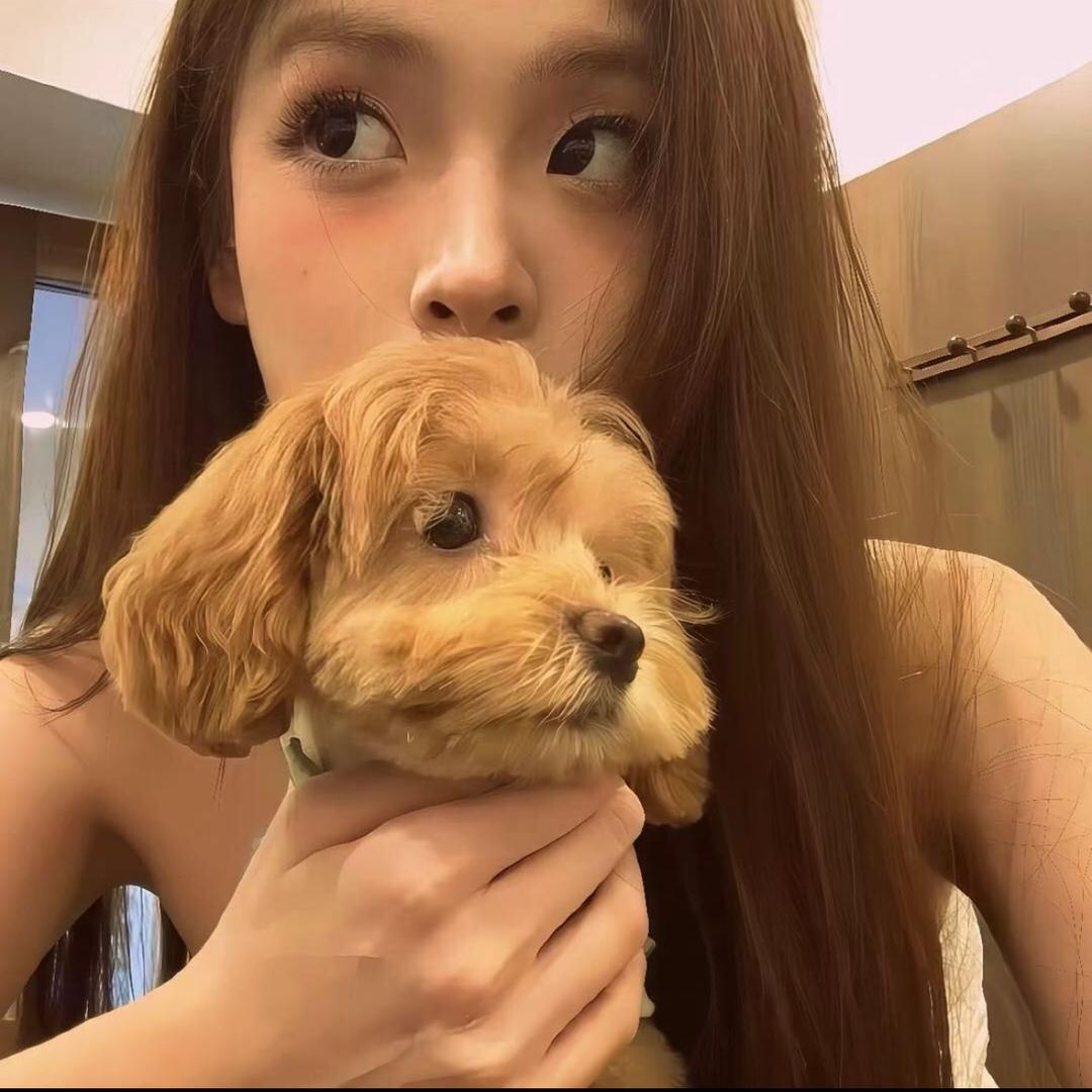 鲨鲨鲨呀