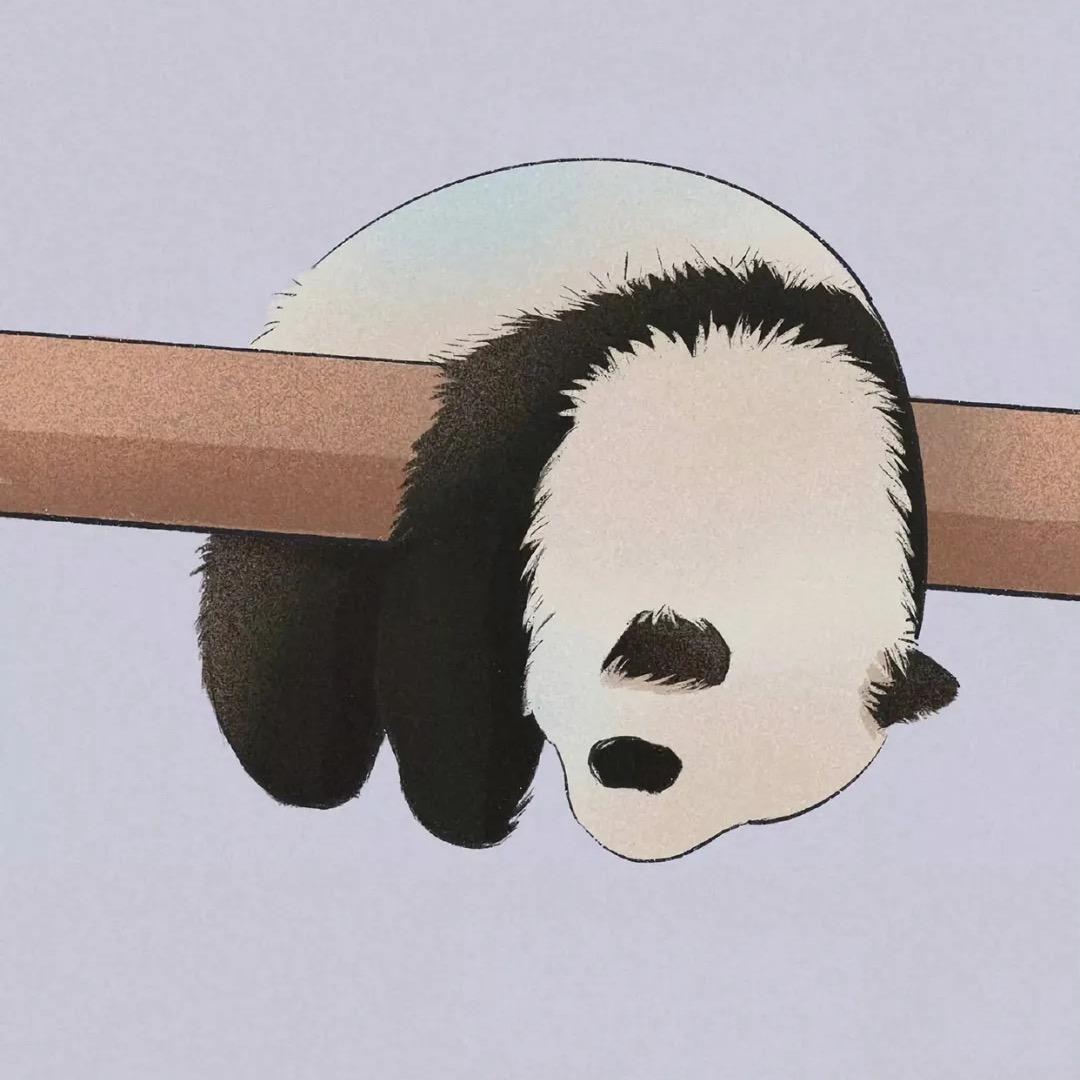 云卷云舒hs
