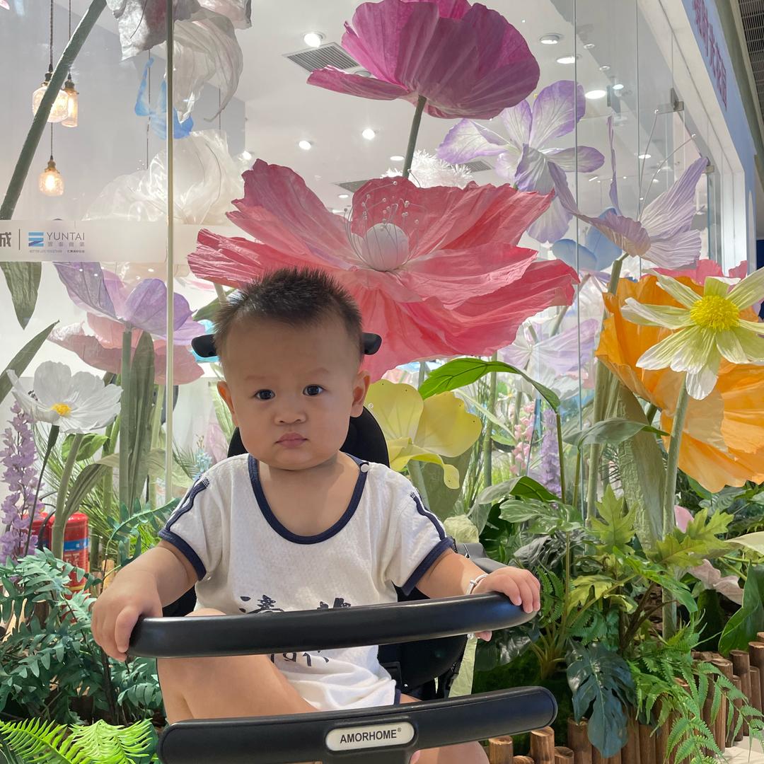 圆耳朵旺仔 🇨🇳