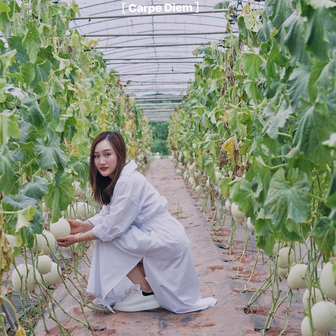 农场小主  钟小花🌼