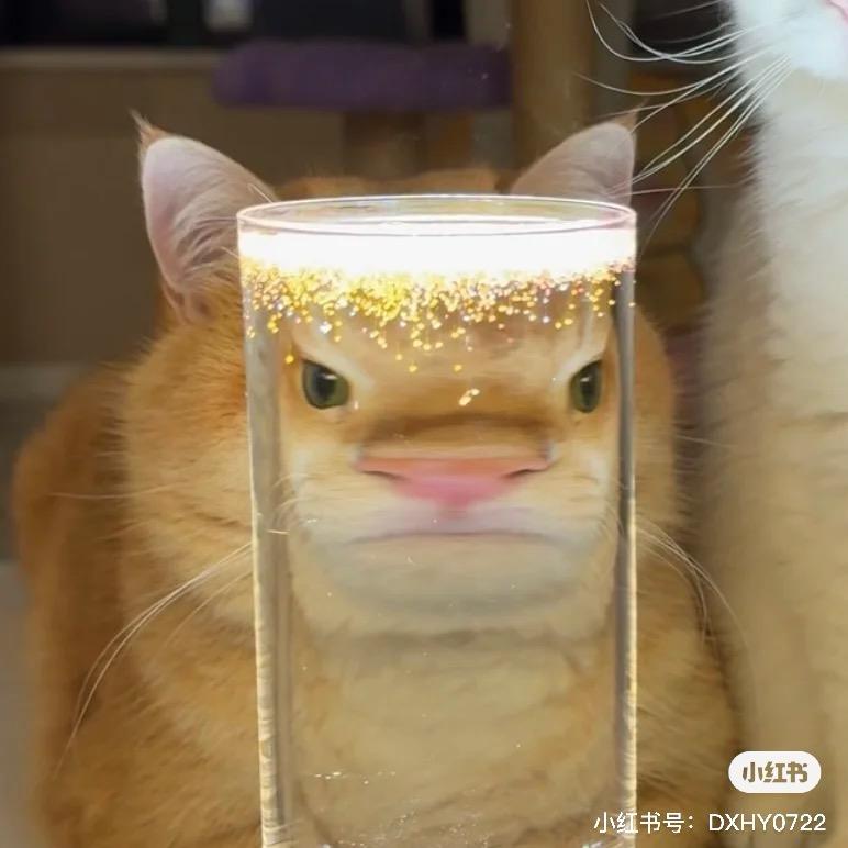 呆胶布