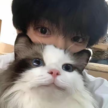 嘉宾加冰、