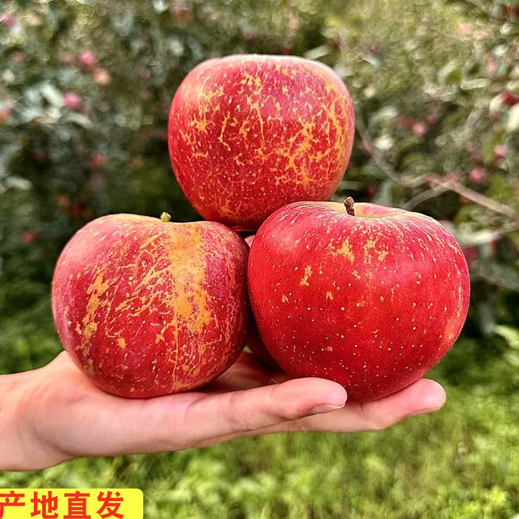 昭通硕农果业