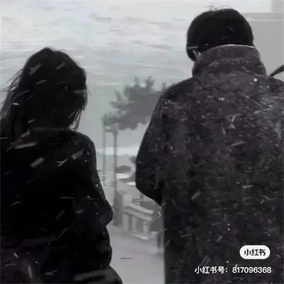 🌈是野小野