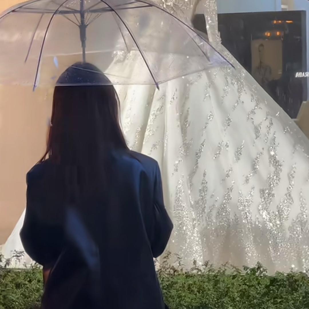 摆烂小钟
