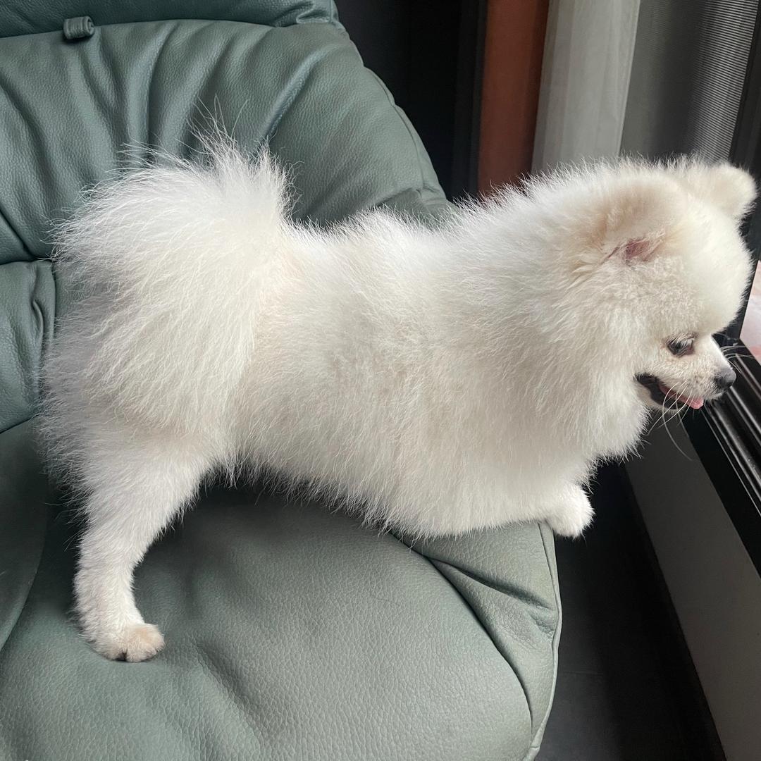 @秦 小 溪（拒私聊）