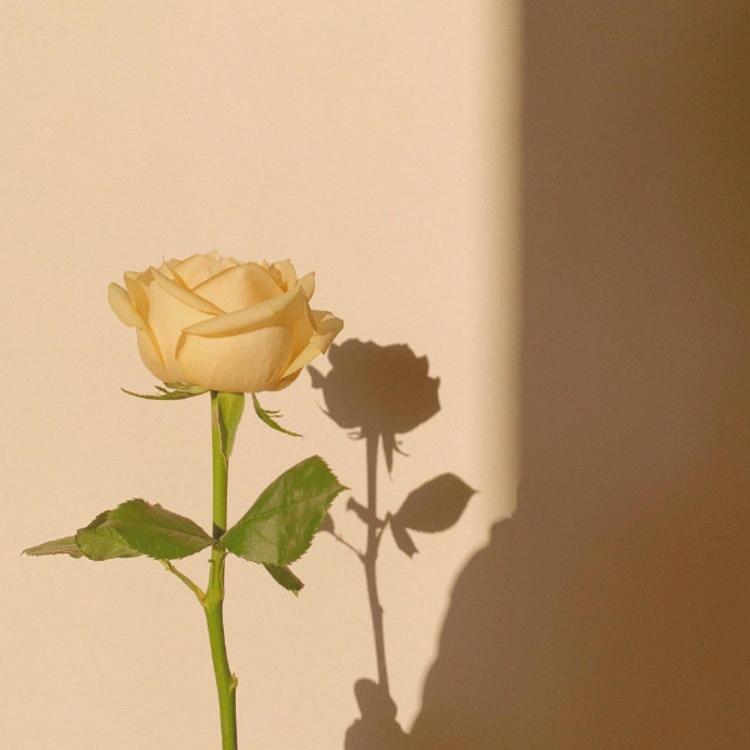 得和园艺种植管家
