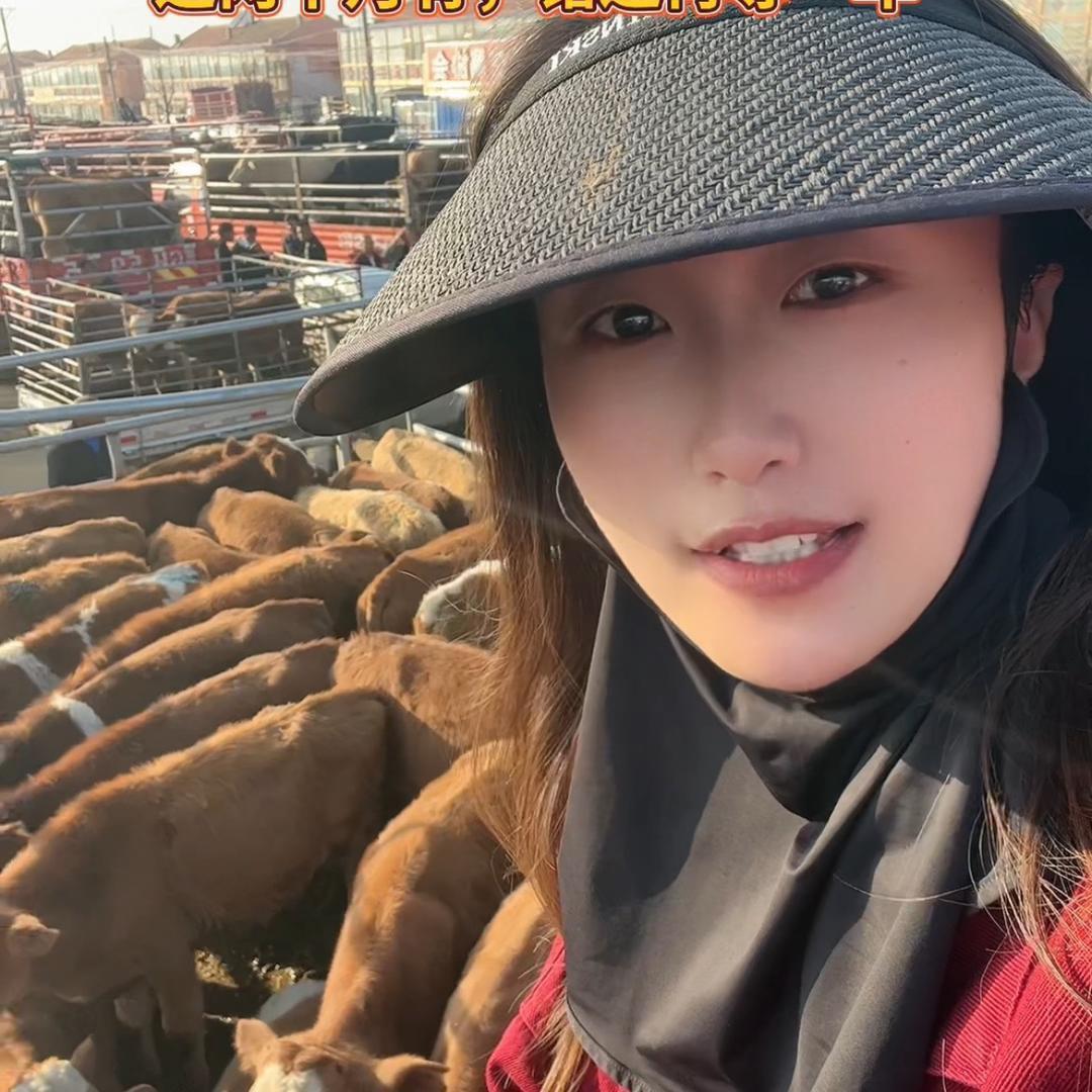 阿慧在牛市