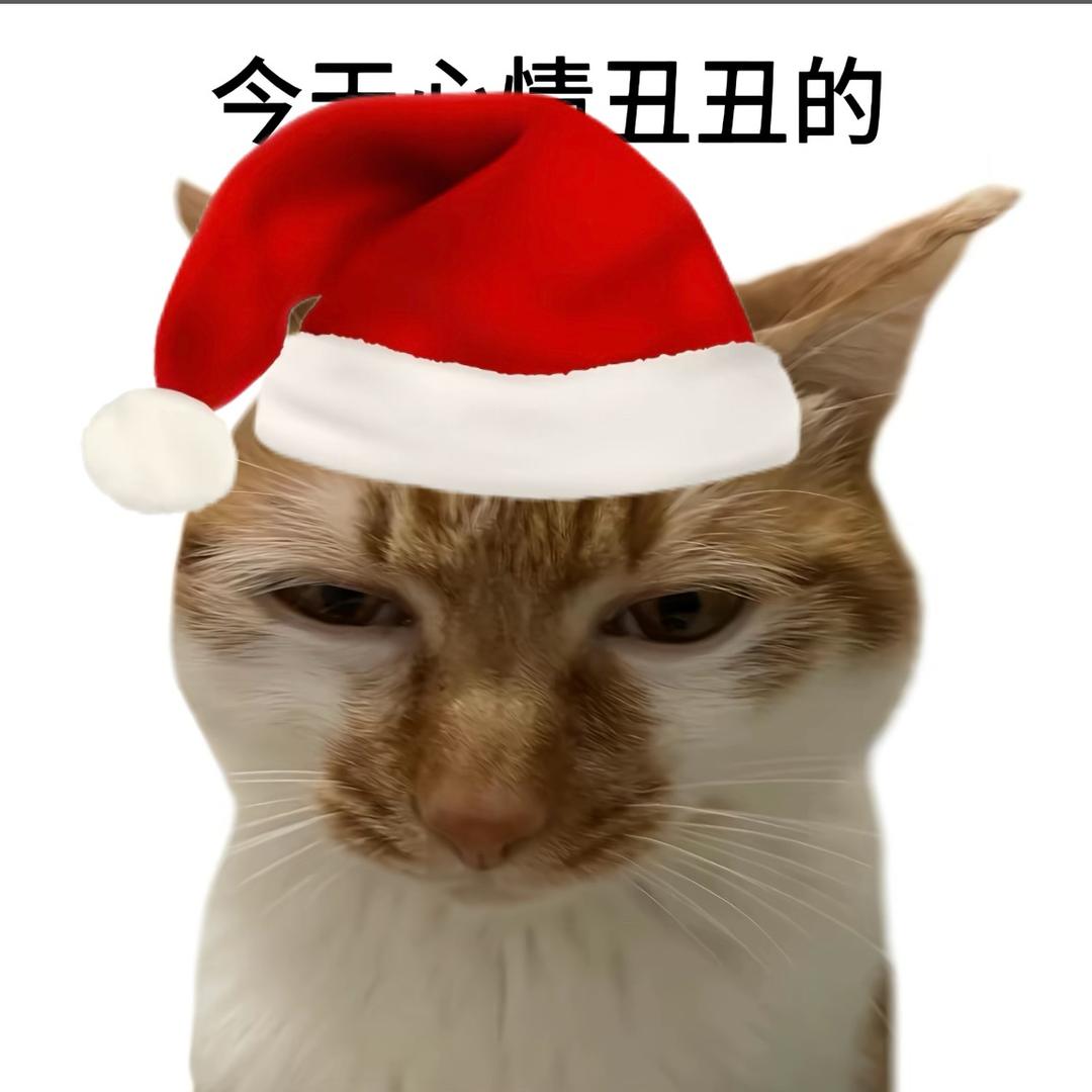 茜茜喵₍˄ ₗ   ̫ ₗ ˄₎੭ﾞ