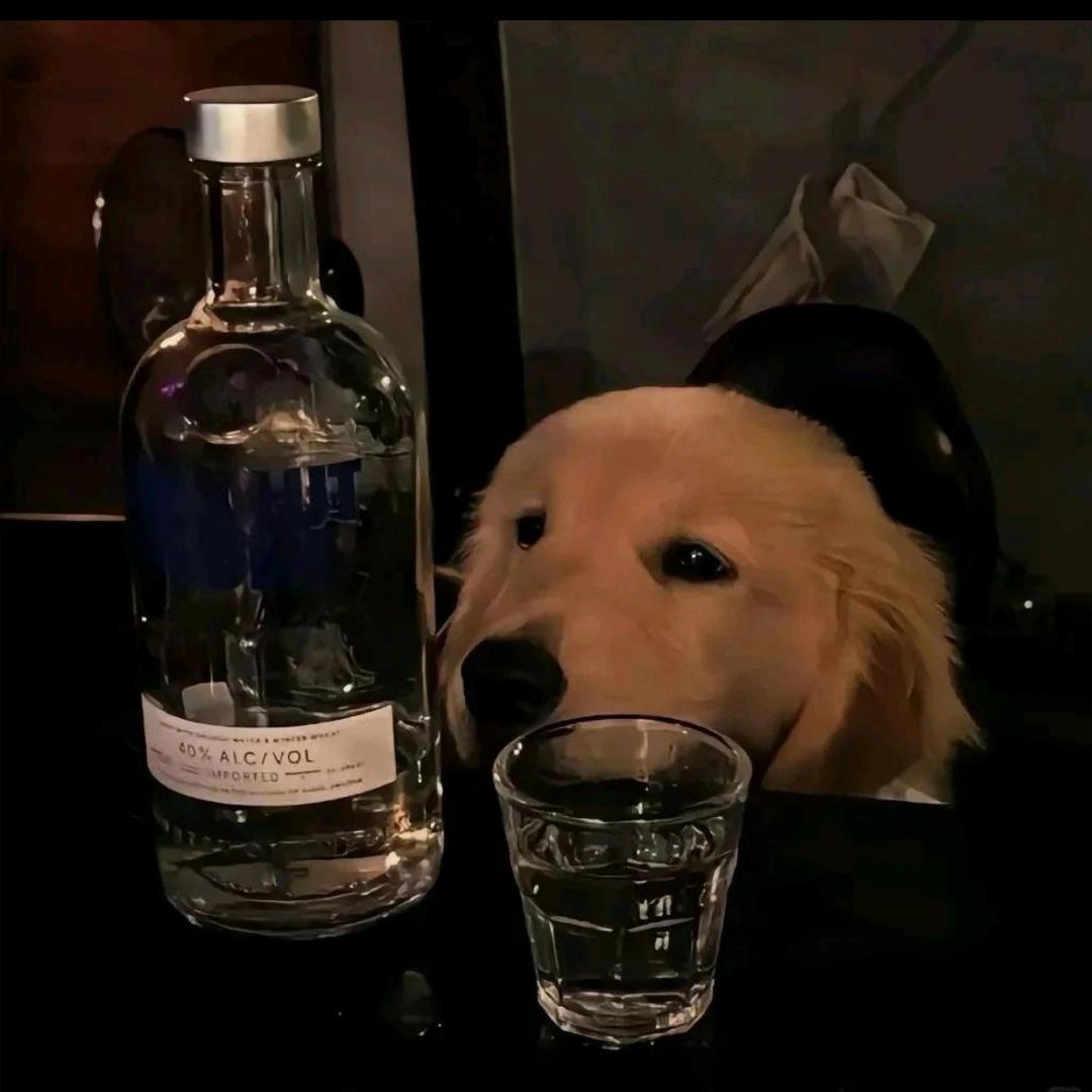 小黄吖