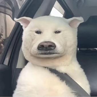 你不要给我哇哇叫