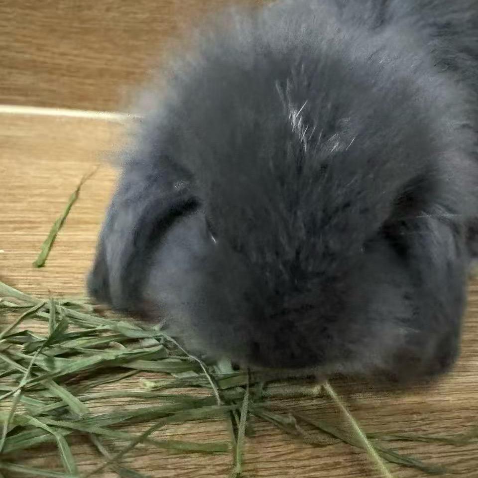 悟了