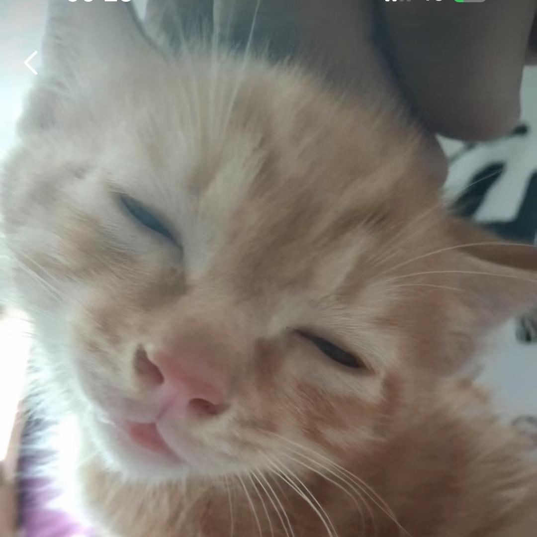 yyykgxotittoz