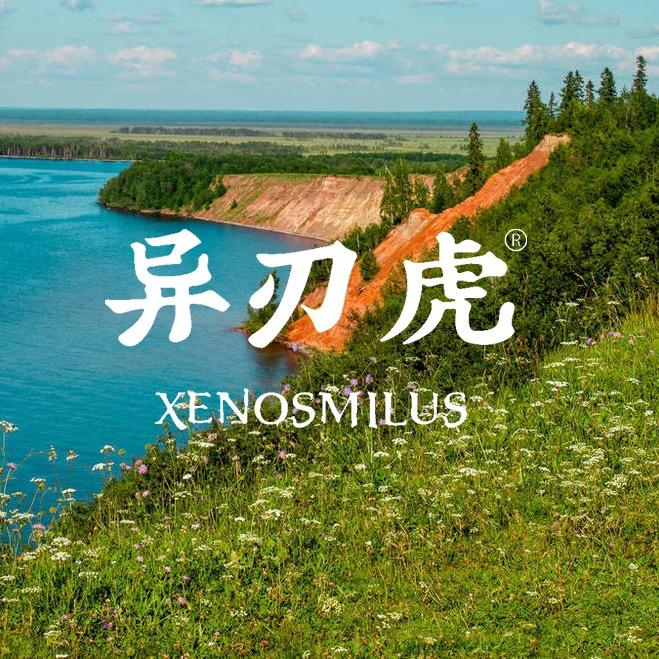 异刃虎出行轻品牌