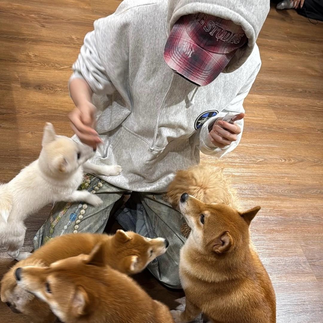 打电话告诉你天气晴朗