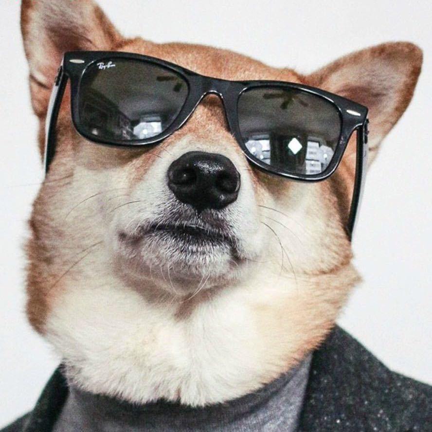 Cool girl酷哥