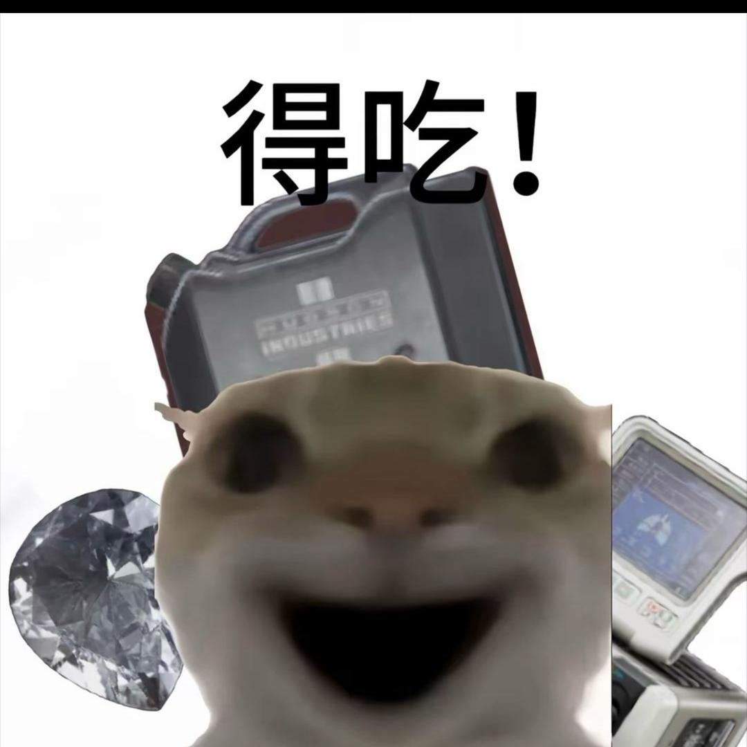 红玩（三角洲寻宝鼠）