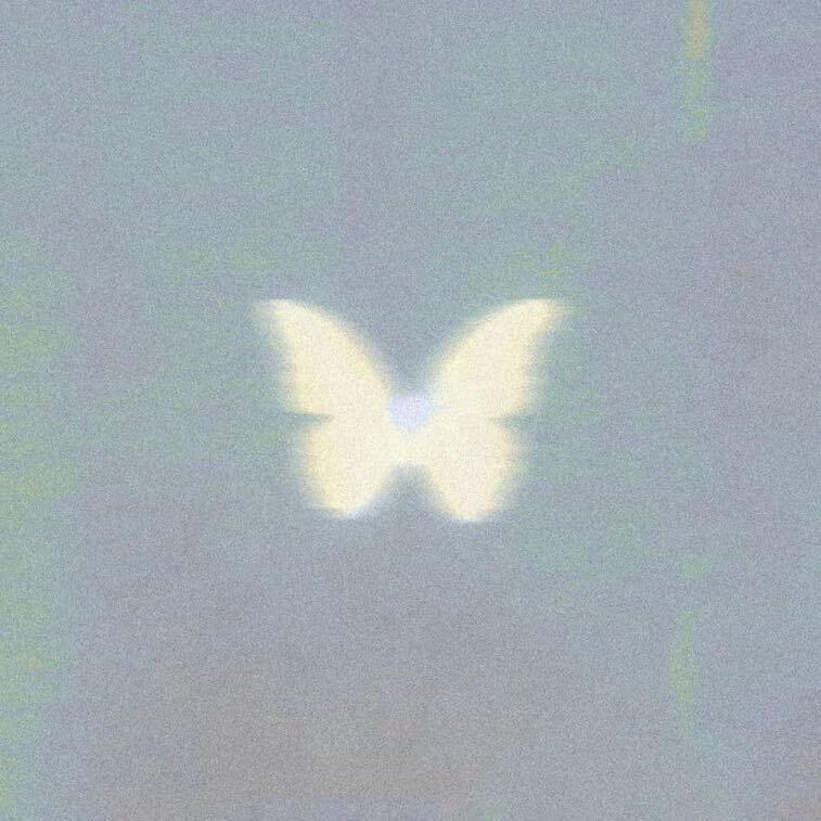 Duodonly