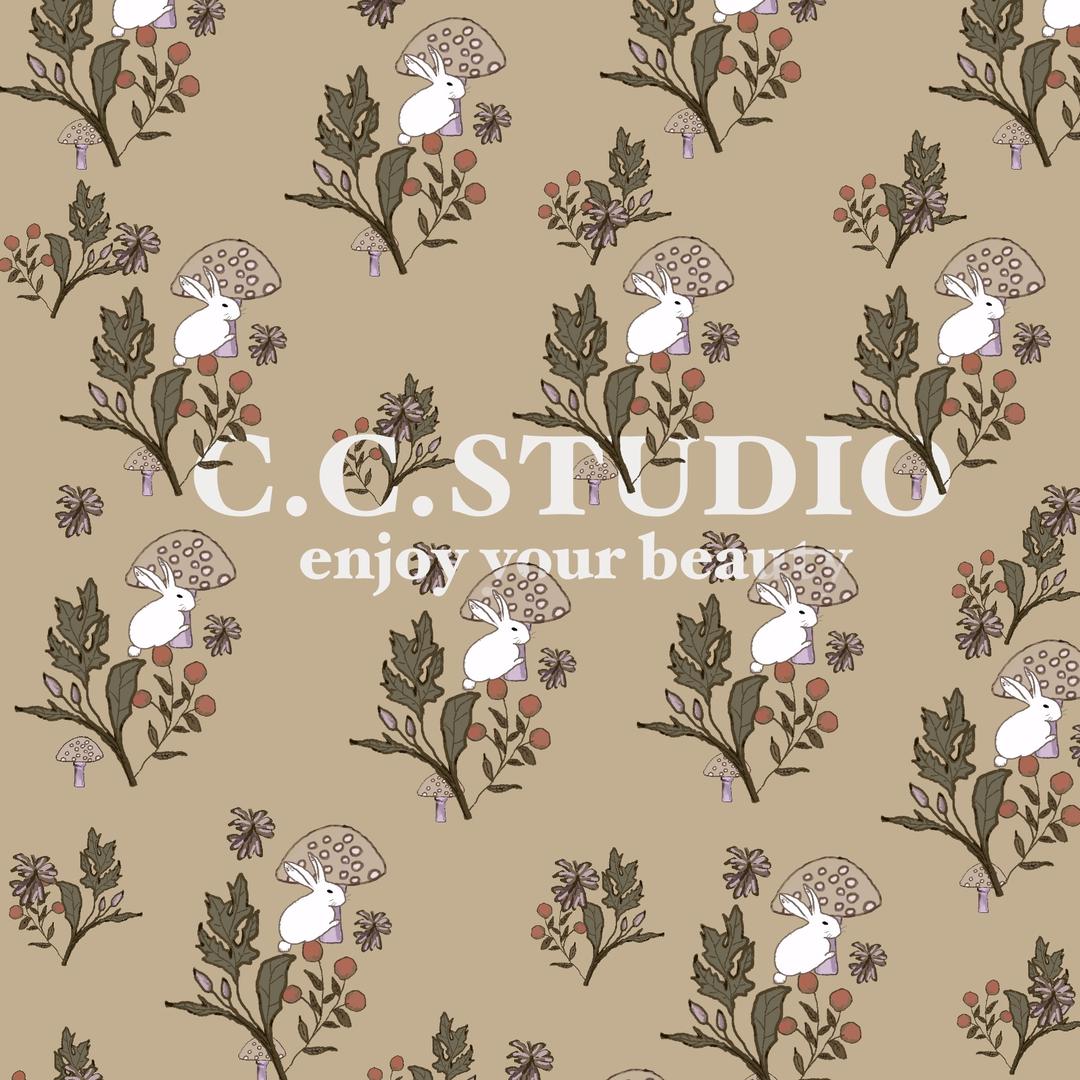 C.C.STUDIO