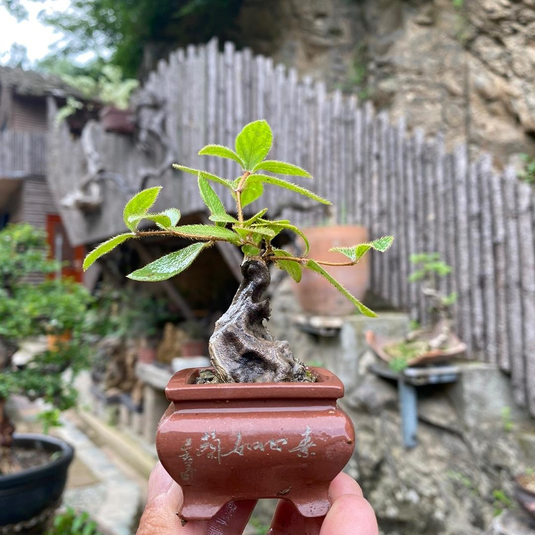山云之涧