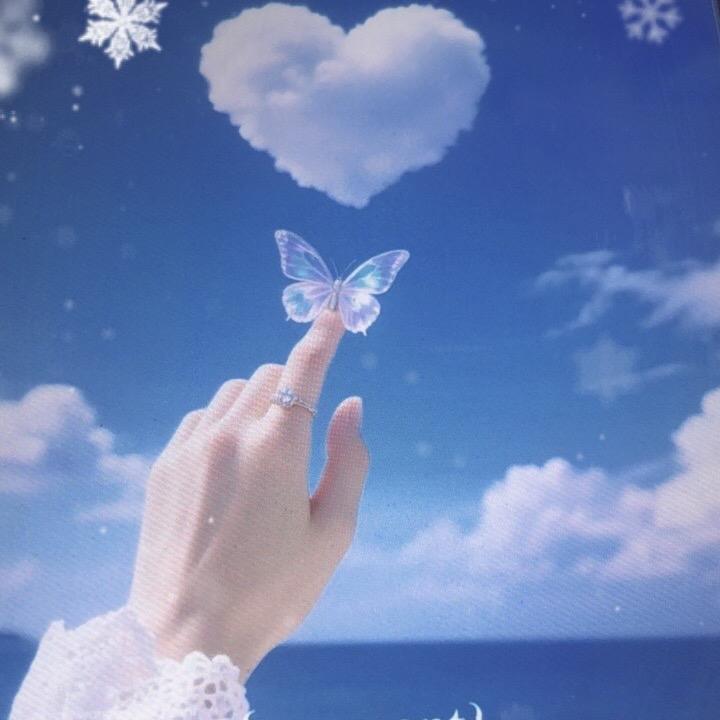 咝㊙️养护（范范）