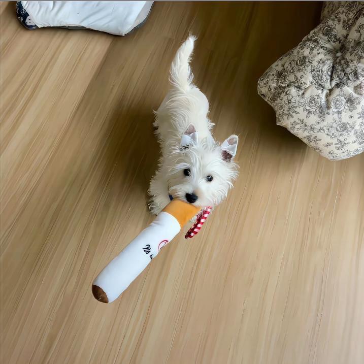 -早睡.^