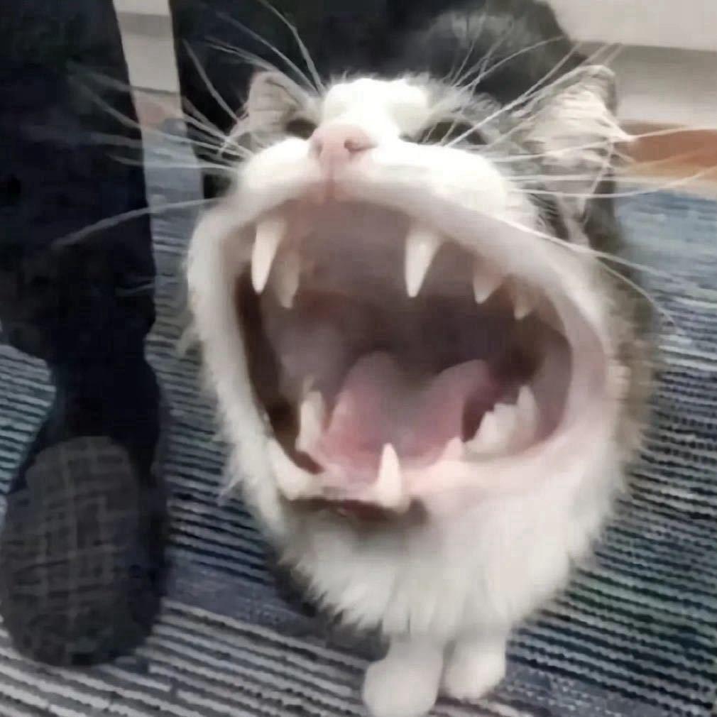 可乐鸡翅