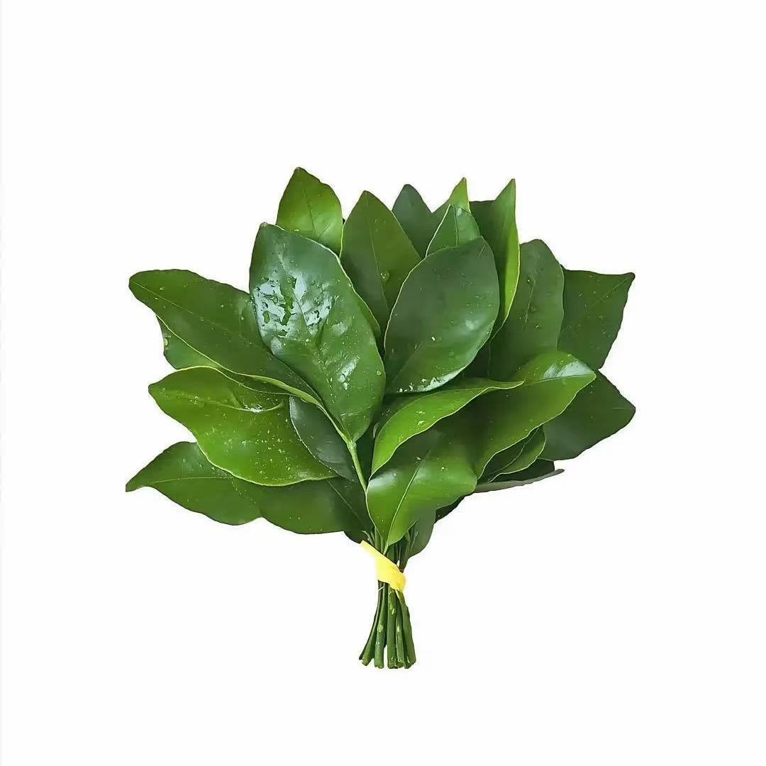 1 6