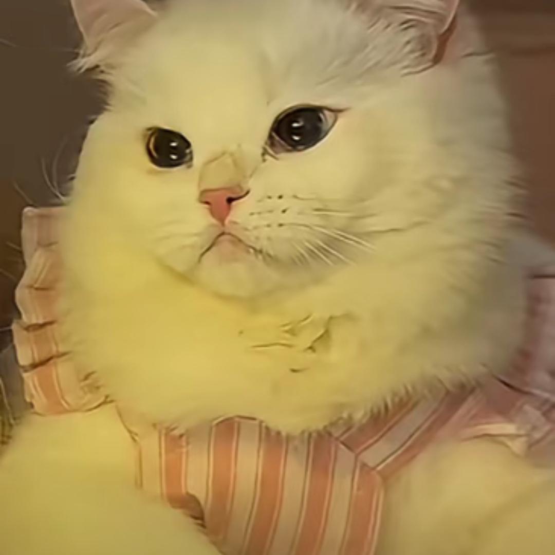 小宝🫥