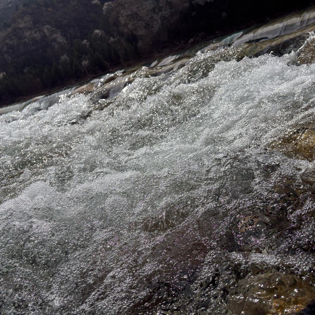 飞扬启航（北京）汽车租赁有限公司