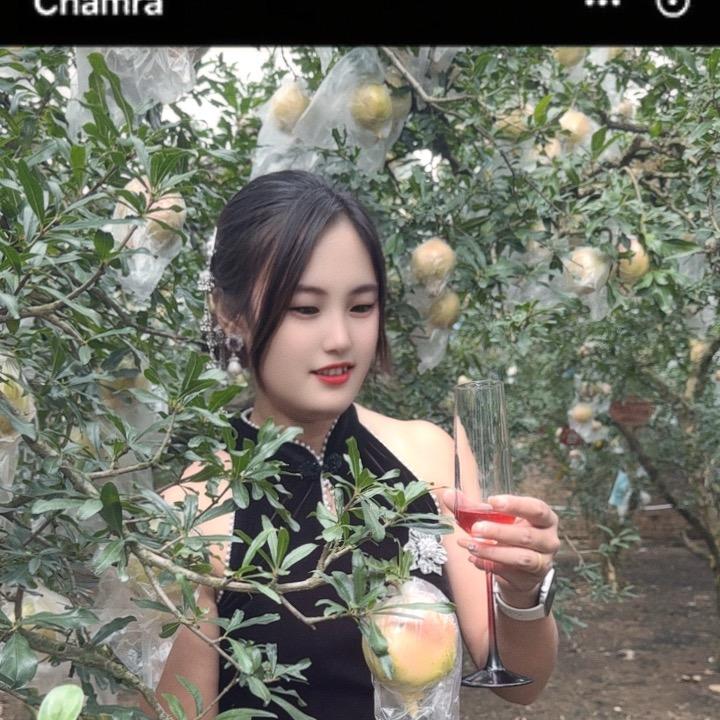 虎牙妹（飞花酿）